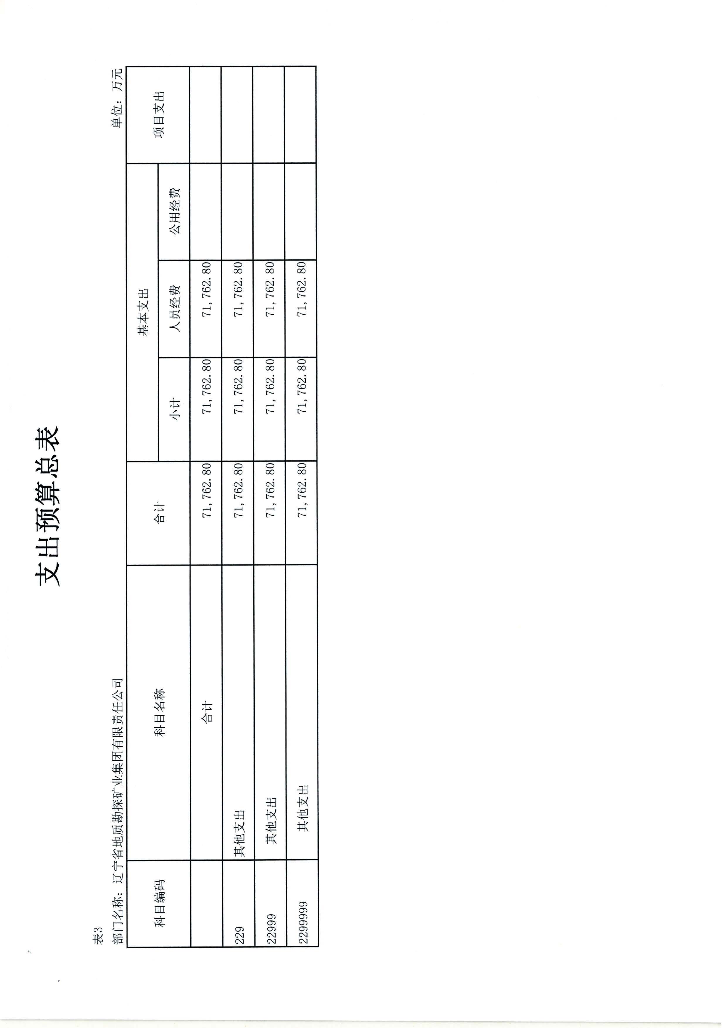 550杈藉畞鐪佸湴璐ㄥ嫎鎺㈢熆涓氶泦鍥㈡湁闄愯矗浠诲叕鍙?024骞村害閮ㄩ棬棰勭畻_椤甸潰_13.jpg