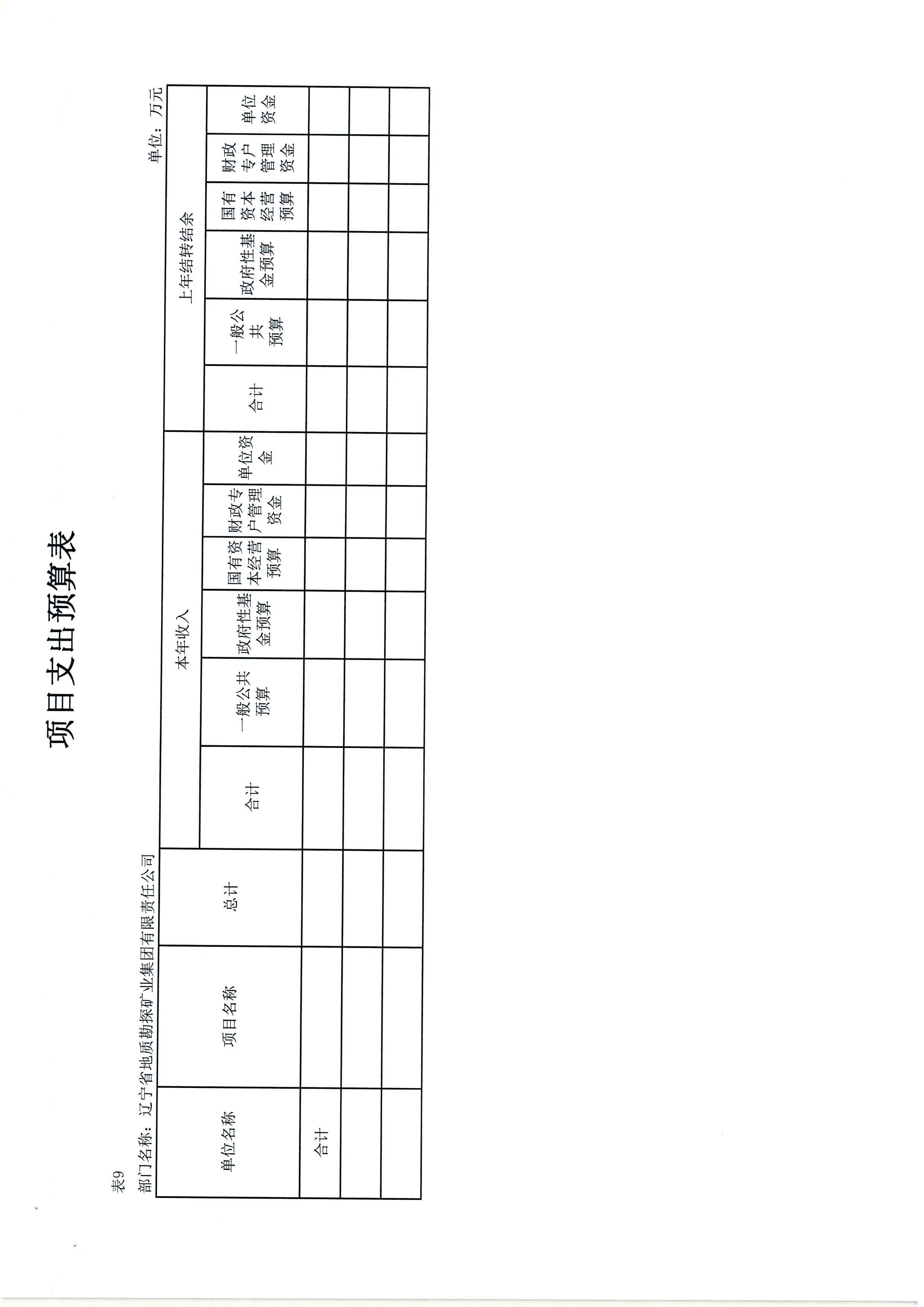 550杈藉畞鐪佸湴璐ㄥ嫎鎺㈢熆涓氶泦鍥㈡湁闄愯矗浠诲叕鍙?024骞村害閮ㄩ棬棰勭畻_椤甸潰_19.jpg